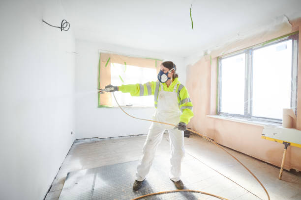 Best Asbestos and Lead Testing During Mold Inspection  in Bristol, FL