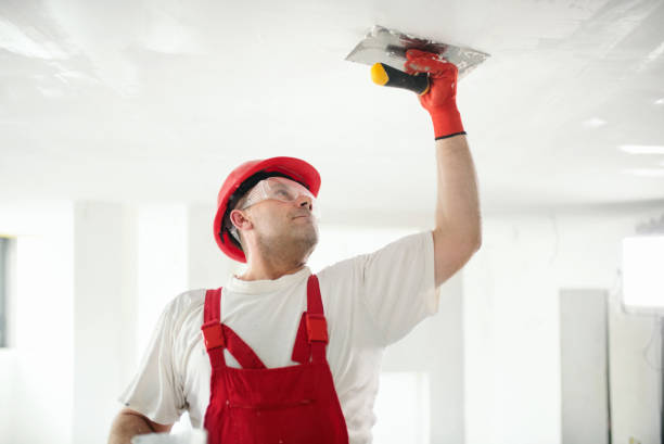 Best HVAC Mold Inspection and Cleaning  in Bristol, FL