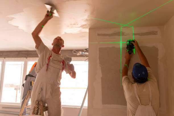 Reliable Bristol, FL Mold Removal Solutions
