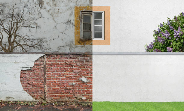 Forensic Mold Investigation in Bristol, FL