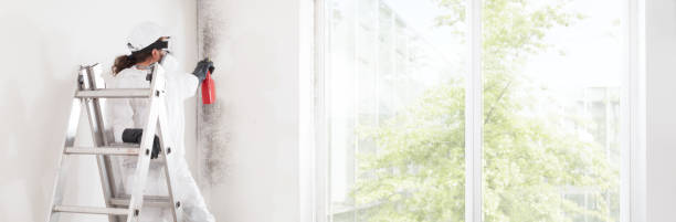 Best Air Quality Testing for Mold Spores  in Bristol, FL