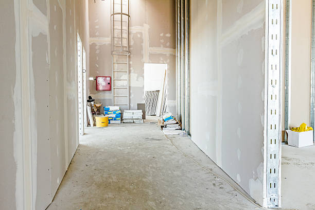 Best Crawl Space Mold Remediation  in Bristol, FL