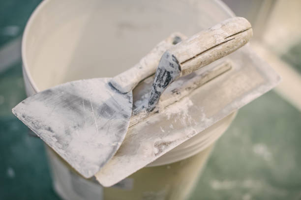 Best Black Mold Removal  in Bristol, FL