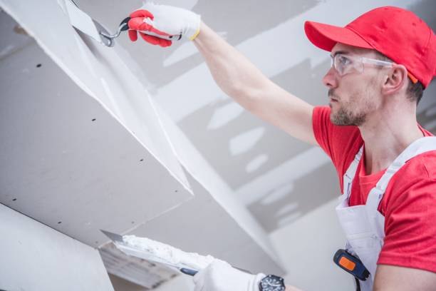 Best Post-Construction Mold Inspection  in Bristol, FL